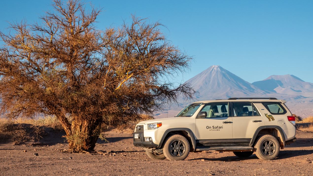 Astronomy Safari: Nighttime Exploration In The Sky Of The Atacama Desert foto 4
