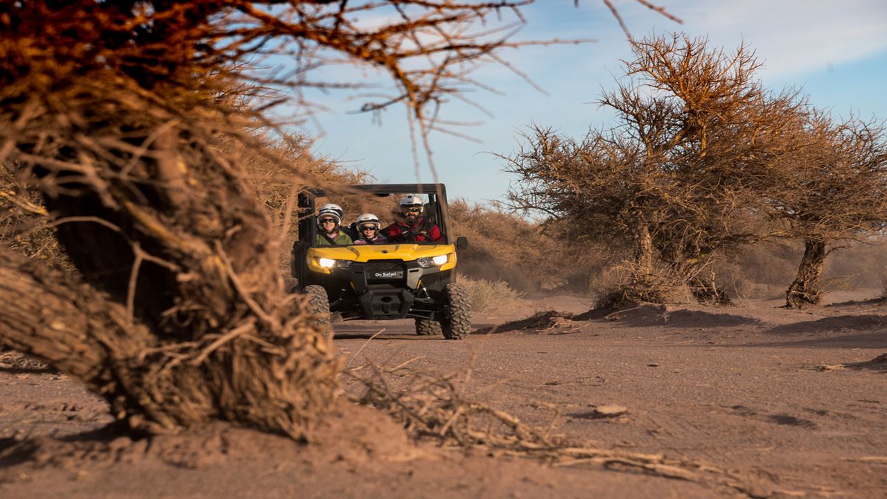 Guided Buggy Safari: Off-road Adventure Among Dunes And Natural Landscapes foto 2