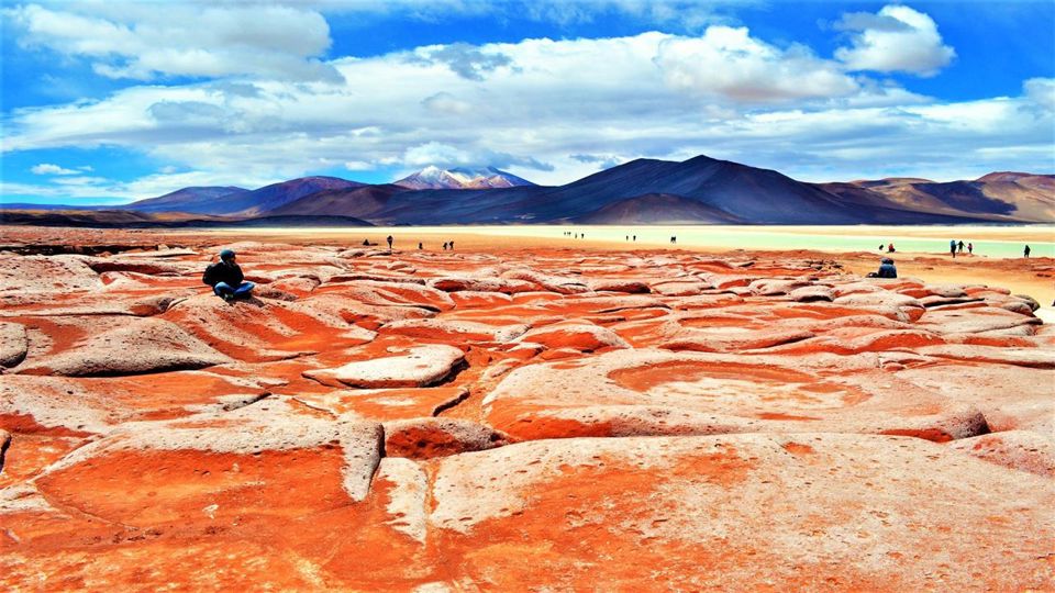 Día Completo en el Desierto: Salar, Piedras Rojas y Lagunas Altiplánicas  foto 3