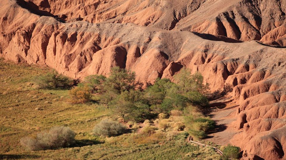 Atacama Desert Bike Ride: Devil’s Throat & Catarpe Valley foto 7