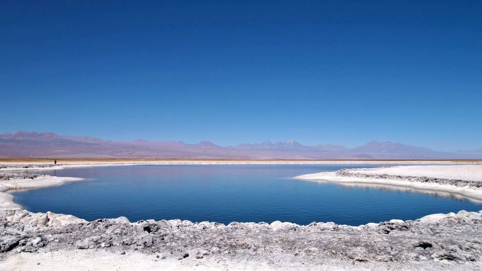 Half-Day Cejar Lagoon, Ojos del Salar & Tebenquiche foto 3