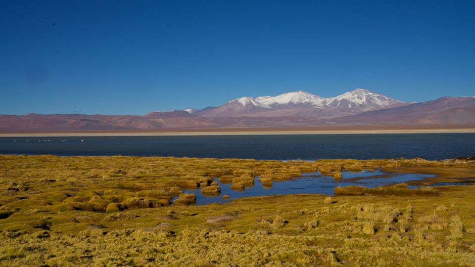 Half-Day Cejar Lagoon, Ojos del Salar & Tebenquiche foto 1