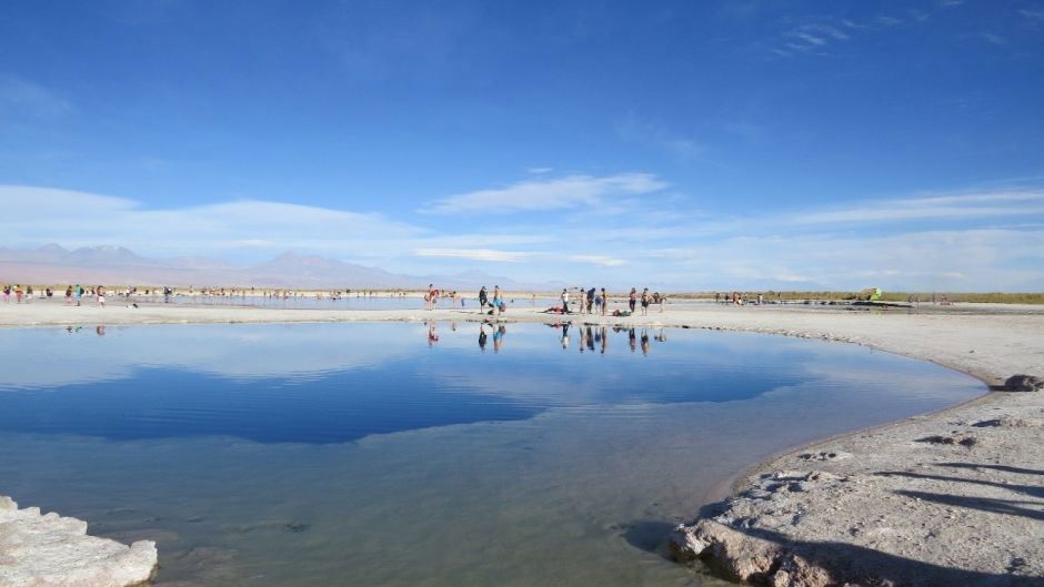 Half-Day Cejar Lagoon, Ojos del Salar & Tebenquiche foto 4