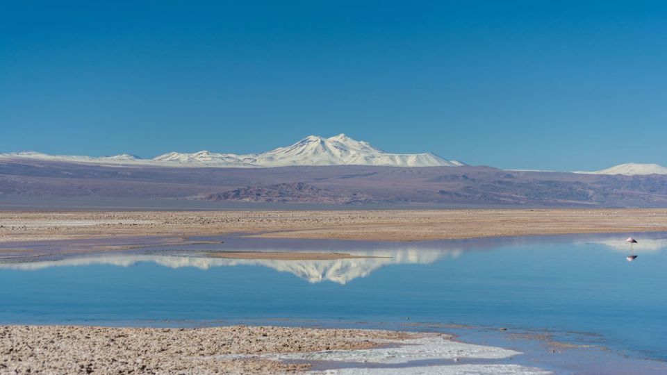 Piedras Rojas en Salar del Talar y Lagunas Altiplánicas foto 5