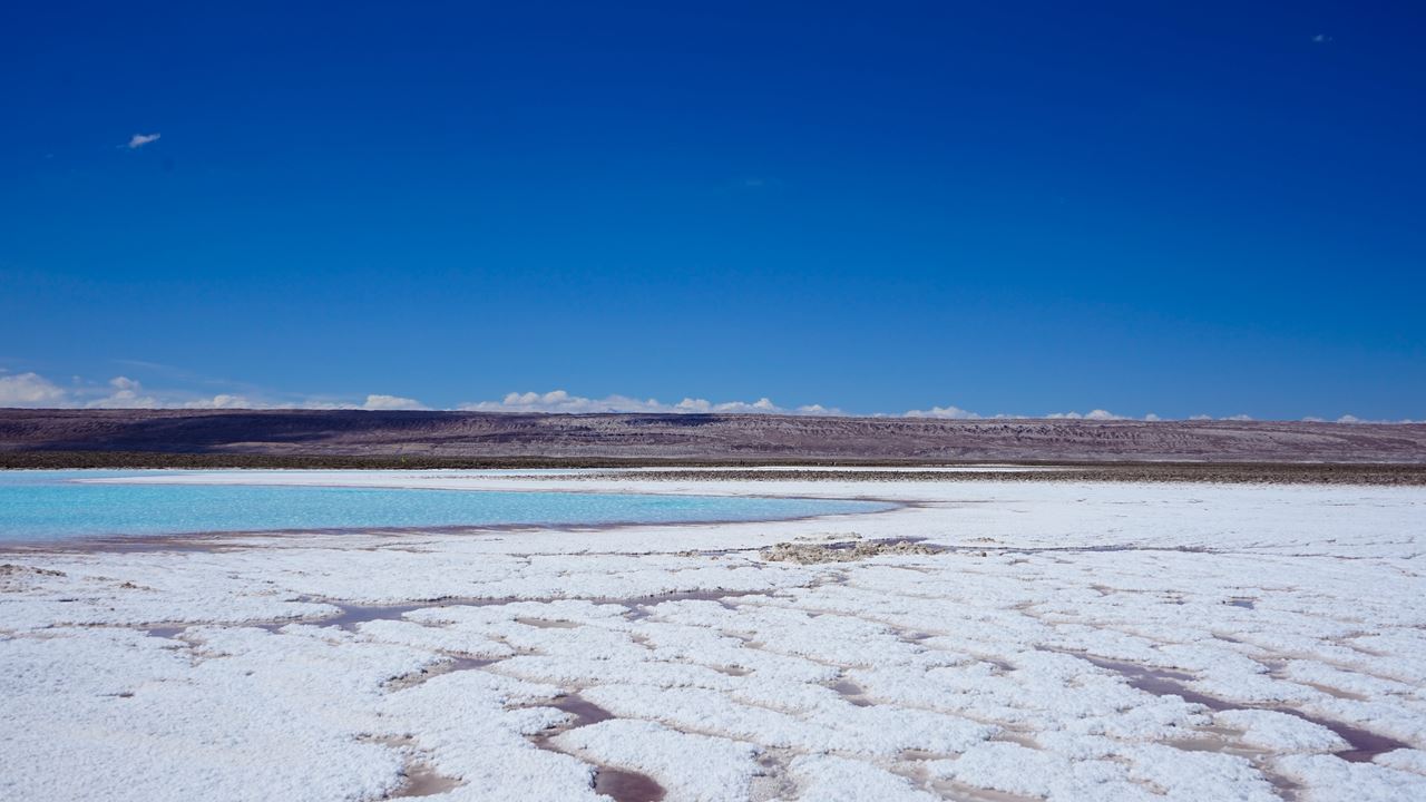 Lagunas Altiplánicas, Salar De Atacama Y Piedras Rojas (5)