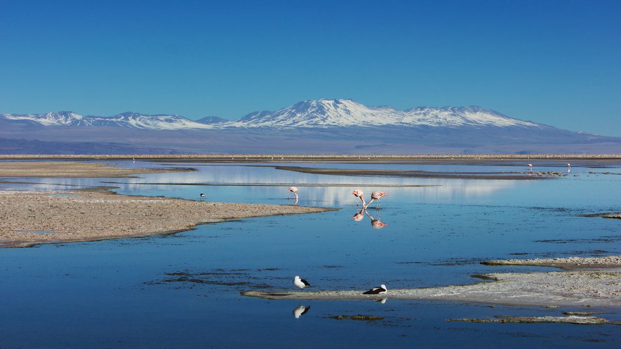 Salar De Atacama Town Of Toconao. (5)