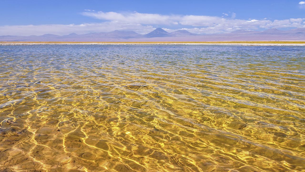 Salar De Atacama Town Of Toconao. (1)