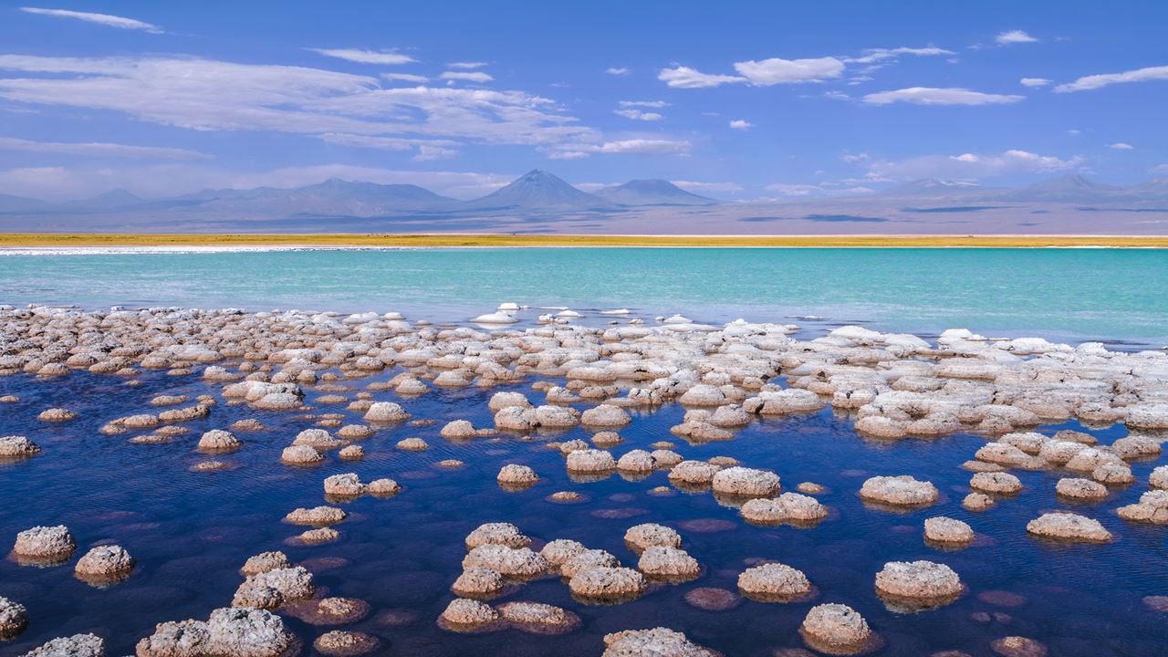 Salar De Atacama Town Of Toconao. (2)