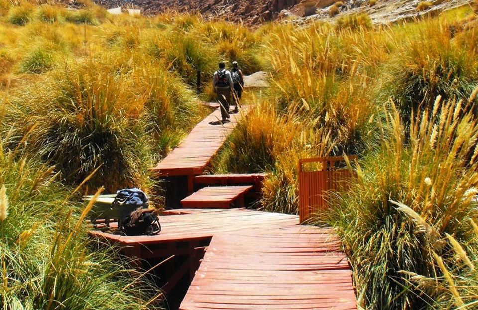 Puritama Hot Springs Day Trip with Transfers foto 5