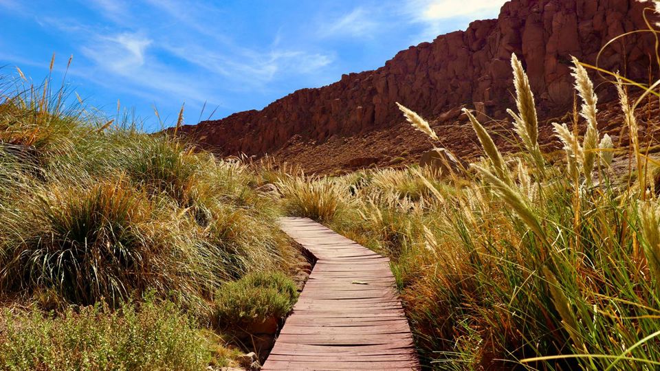 Puritama Hot Springs Day Trip with Transfers foto 3