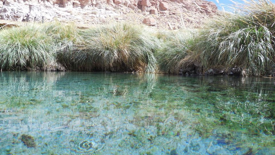 Trekking Cañón de Puritama y Comunidad de Guatin foto 7