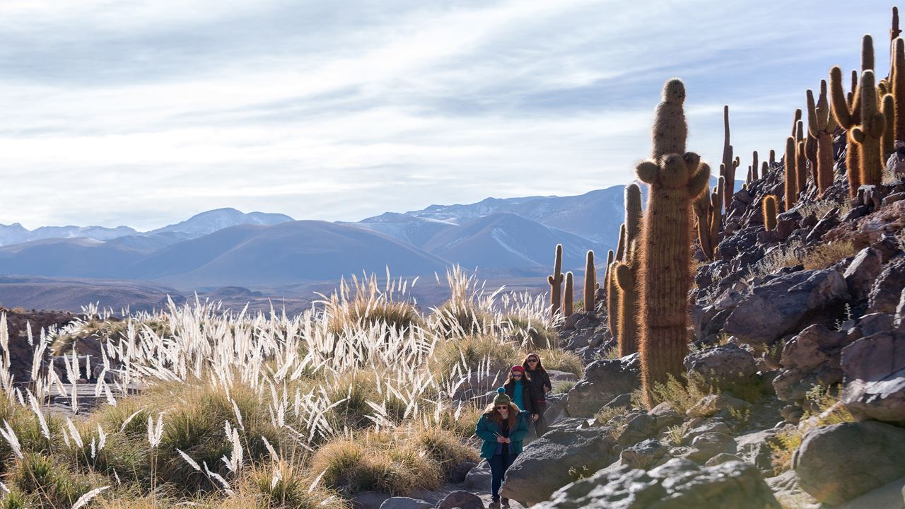 Trekking Cañón De Puritama Y Comunidad De Guatin (4)