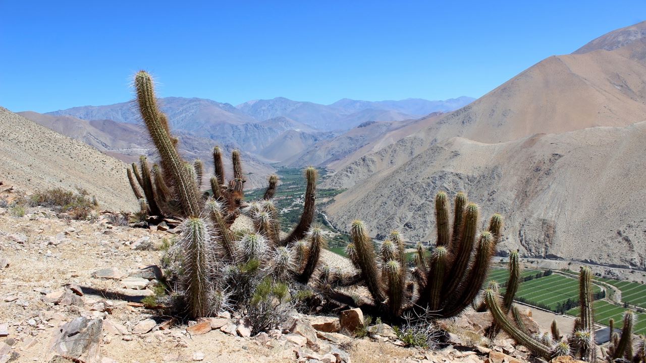 Trekking Cañón De Puritama Y Comunidad De Guatin (1)
