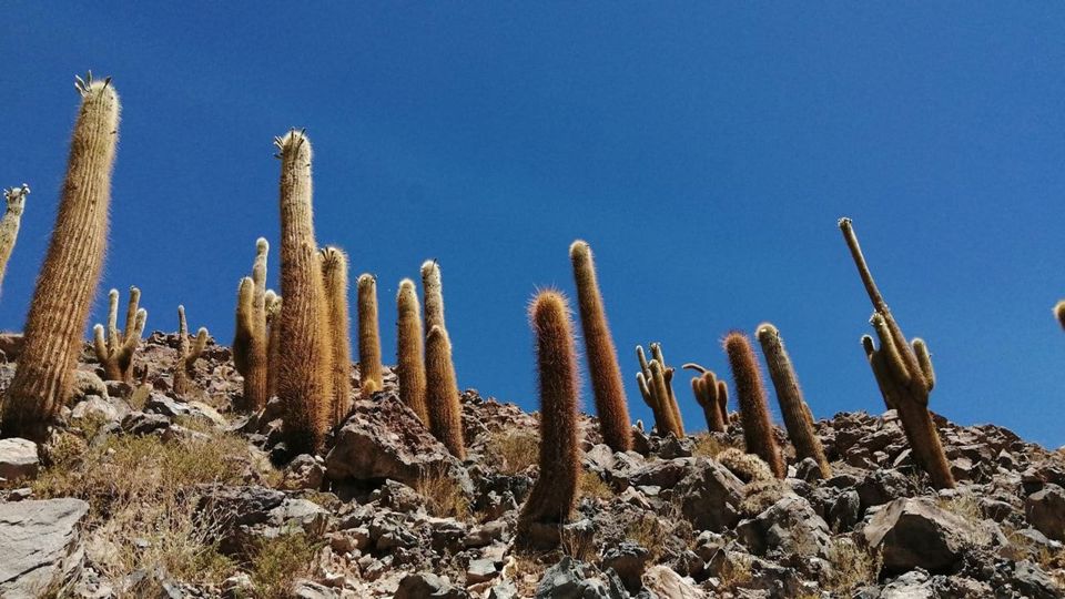 Trekking Cañón de Puritama y Comunidad de Guatin foto 4