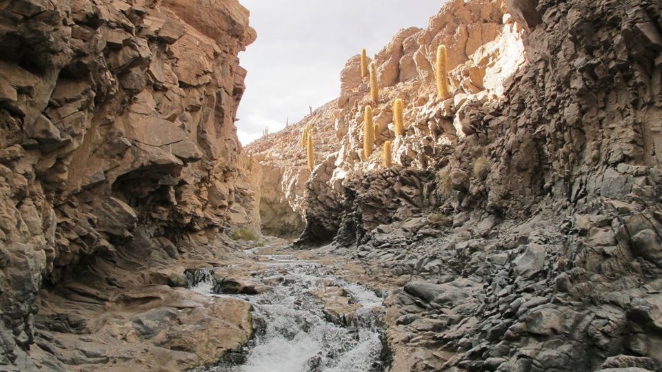 Trekking Cañón de Puritama y Comunidad de Guatin foto 8