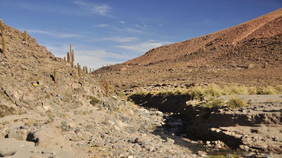 Trekking to Hidden Waterfall from Río Vilama foto 5