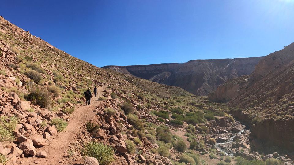 Ríos del Desierto de Atacama y Trekking a Río Salado foto 4
