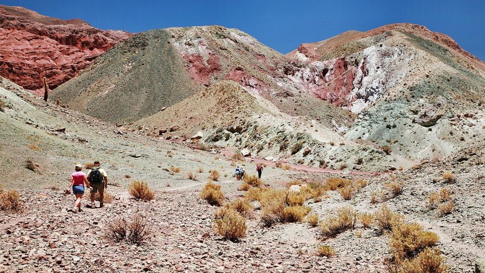 Ríos del Desierto de Atacama y Trekking a Río Salado foto 7
