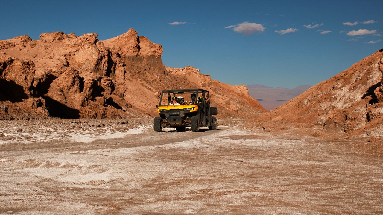 Guided Buggy Safari: Off-road Adventure Among Dunes And Natural Landscapes